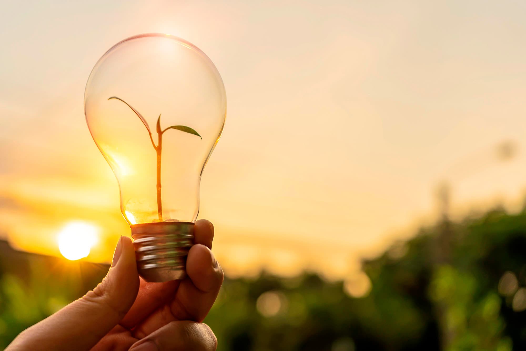 SDG 7 FACORSA affordable clean energy products reduce energy consumption