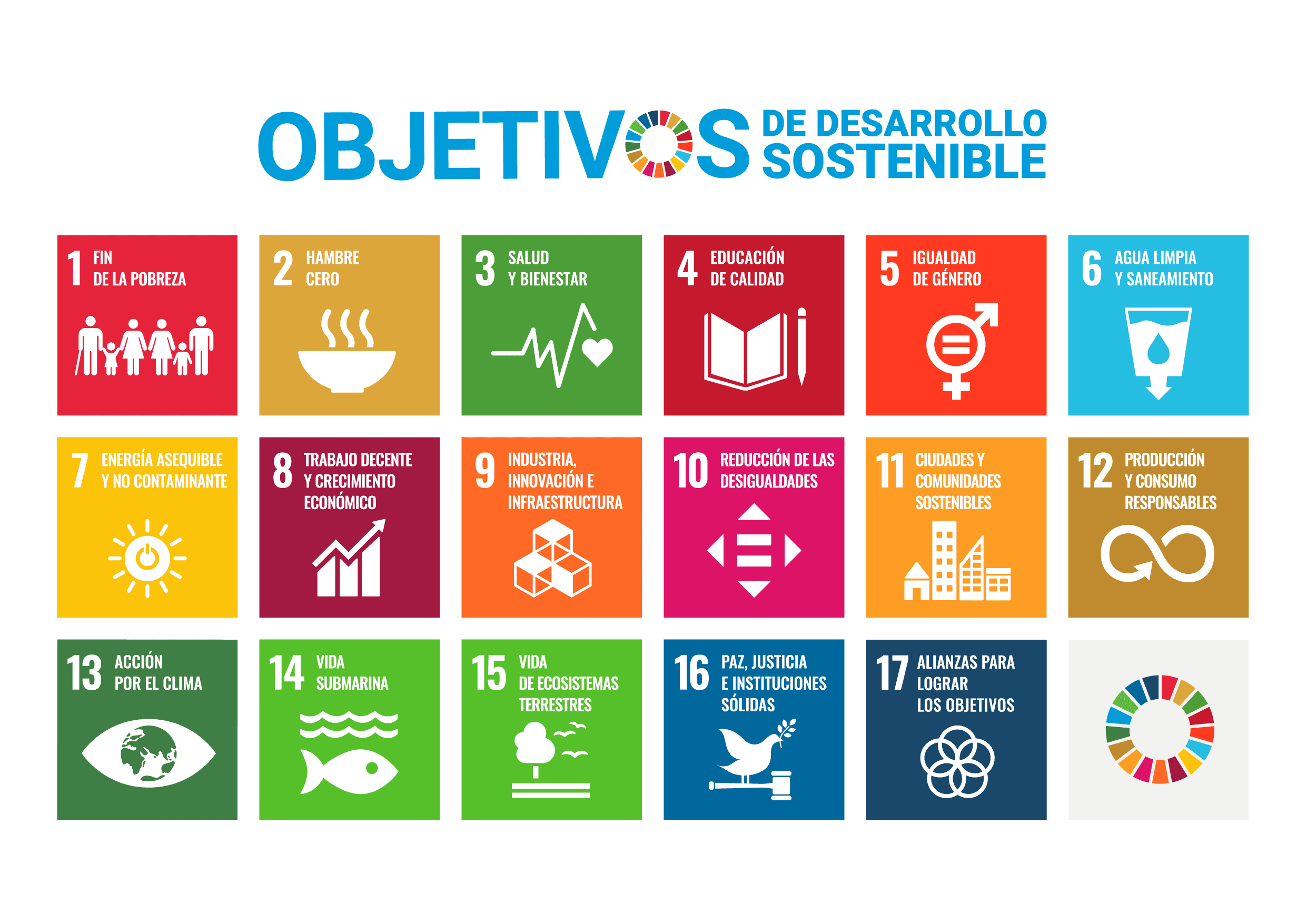 SDG 12 FACORSA responsible consumption production circular economy waste reduction